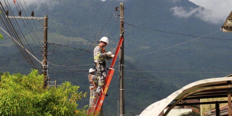 Celesc inicia a limpeza da rede elétrica de Jaraguá do Sul
