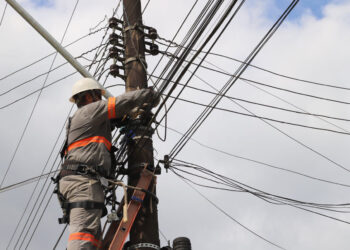 Celesc inicia a limpeza da rede elétrica de Jaraguá do Sul