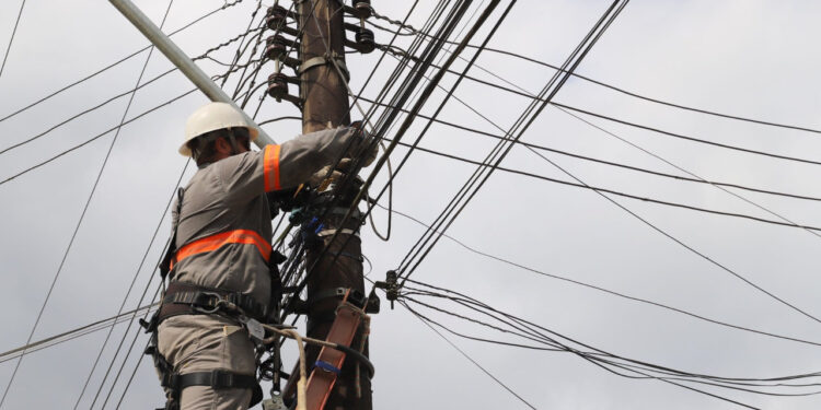 Celesc inicia a limpeza da rede elétrica de Jaraguá do Sul