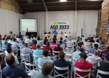 Cravil fatura mais de R$ 1 bilhão em 2022