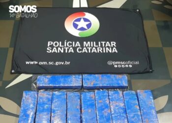 Maconha em tambor enterrado é apreendida em Corupá