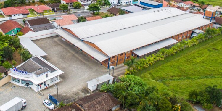 Grupo Alenice completa 29 anos