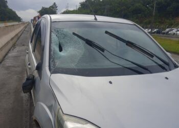 Homem é atropelado na BR-280, em Guaramirim