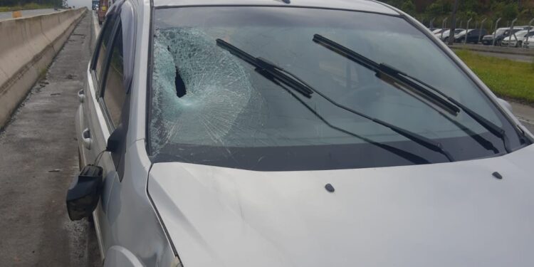 Homem é atropelado na BR-280, em Guaramirim