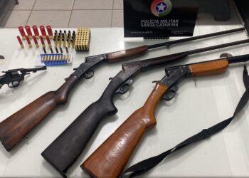 Casal é preso com armas e munições em Jaraguá do Sul