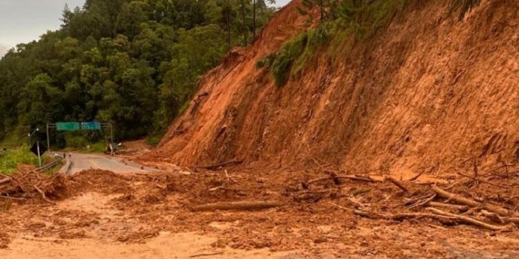 Serra de Corupá é liberada para veículos leves
