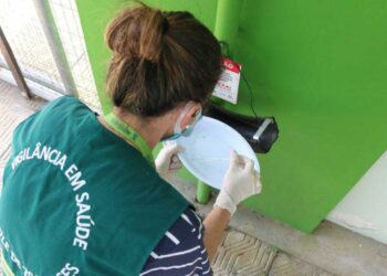 Rau segue em primeiro entre os bairros com mais focos de dengue