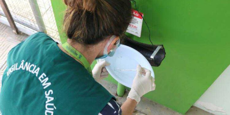 Rau segue em primeiro entre os bairros com mais focos de dengue
