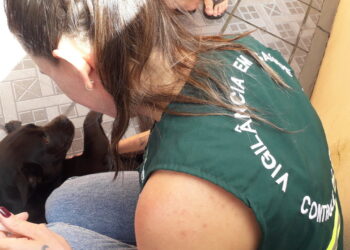 Jaraguá do Sul fará nova ação preventiva de vacinação contra a raiva