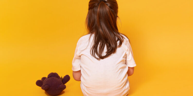 Conselho Tutelar de Guaramirim abre cinco vagas