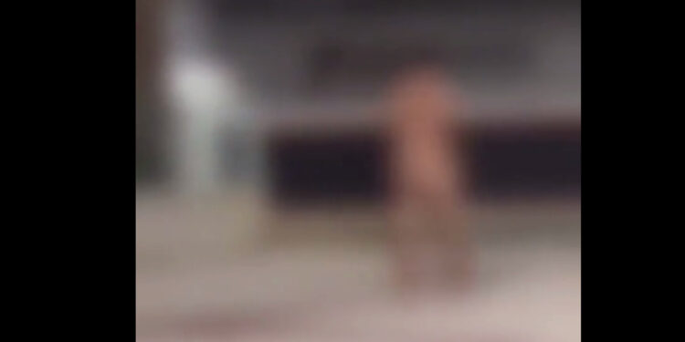 [Vídeo] Homem é flagrado andando pelado em Balneário Camboriú