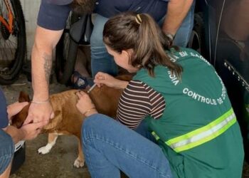 Mais de 190 animais foram vacinados contra a raiva no bairro Rau, em Jaraguá