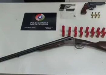 Homem é preso e armas ilegais são apreendidas em Guaramirim
