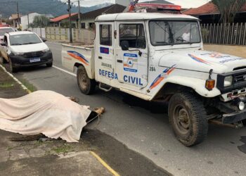 [Vídeo] Cavalo morto causa mau cheiro e incomoda moradores em Jaraguá