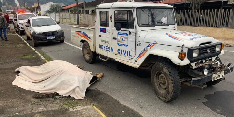[Vídeo] Cavalo morto causa mau cheiro e incomoda moradores em Jaraguá