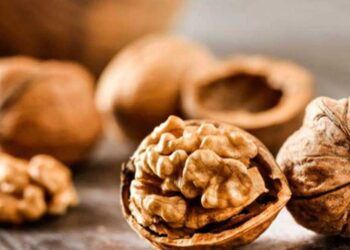 Briga de vizinhos por cascas de nozes acaba com a chegada da PM em Guaramirim