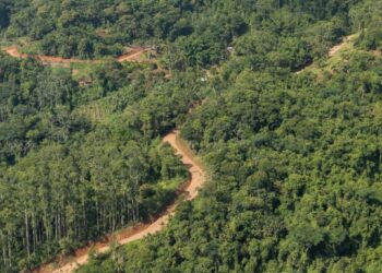 Conhecida empresa que deverá pavimentar acesso ao Pico Malwee