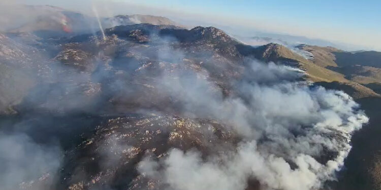 [Vídeo] Corpo de Bombeiro Militar combate incêndio florestal no Norte de SC