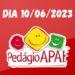 Pedágio da Apae de Massaranduba acontece neste sábado (10)