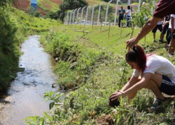 Vereadores aprovam criação do Projeto Novas Raízes em Jaraguá do Sul