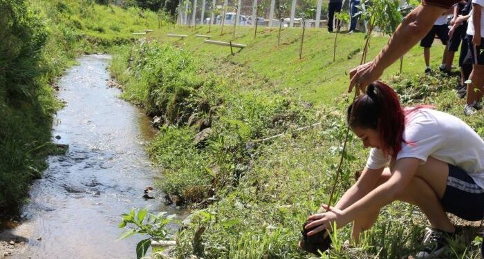 Vereadores aprovam criação do Projeto Novas Raízes em Jaraguá do Sul