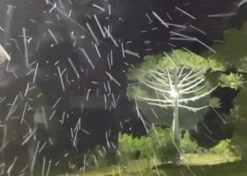 [Vídeo] SC tem neve pela primeira vez no inverno de 2023