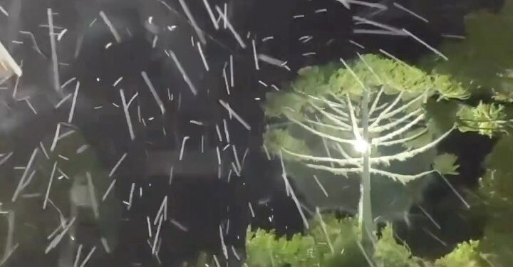 [Vídeo] SC tem neve pela primeira vez no inverno de 2023