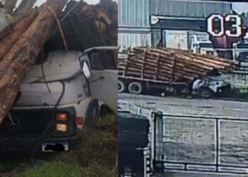 [Vídeo] Caminhoneiro morre esmagado por toras em SC