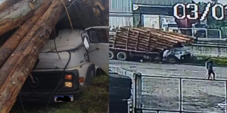 [Vídeo] Caminhoneiro morre esmagado por toras em SC