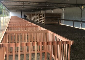 Exposição agropecuária e de pequenos animais será atração na ExpoAgro Corupá 2023