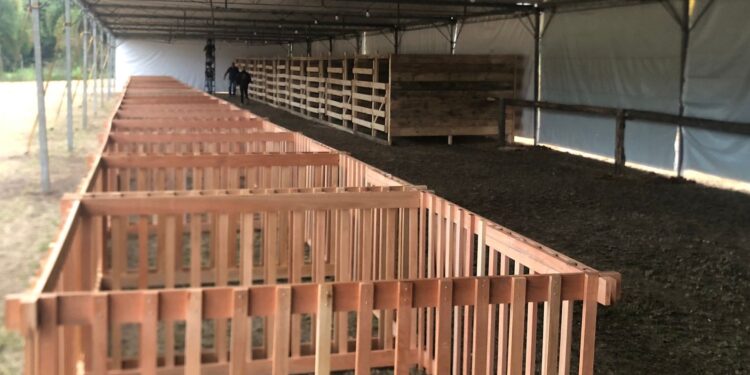 Exposição agropecuária e de pequenos animais será atração na ExpoAgro Corupá 2023