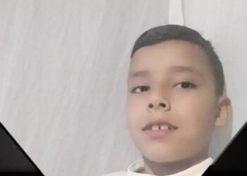 Criança de 12 anos morre após cair de cavalo em SC