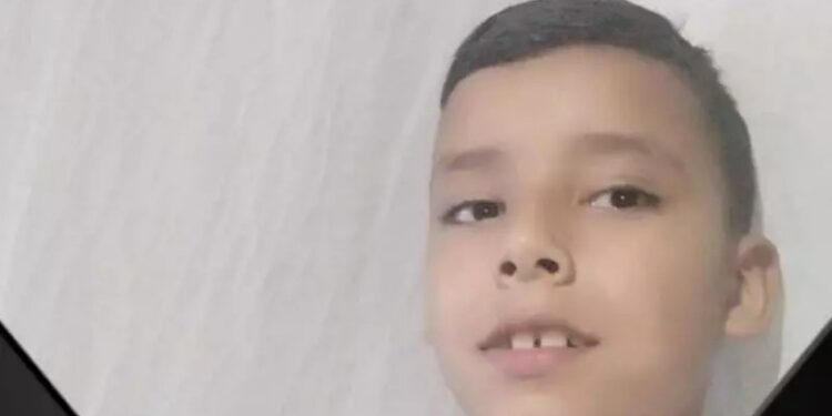 Criança de 12 anos morre após cair de cavalo em SC