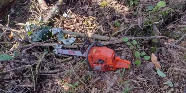 Idoso agride homem com motosserra após ser flagrado cortando árvore em SC