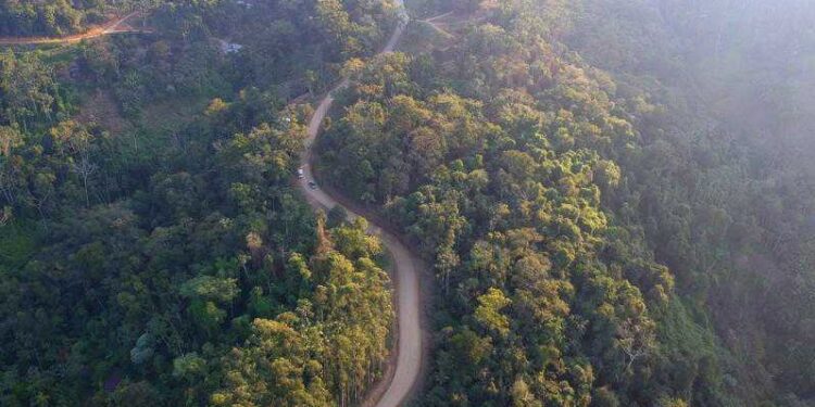Assinada Ordem de Serviço para pavimentação do acesso ao Pico Malwee, em Jaraguá