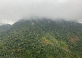 Avião que desapareceu entre SC e PR é encontrado