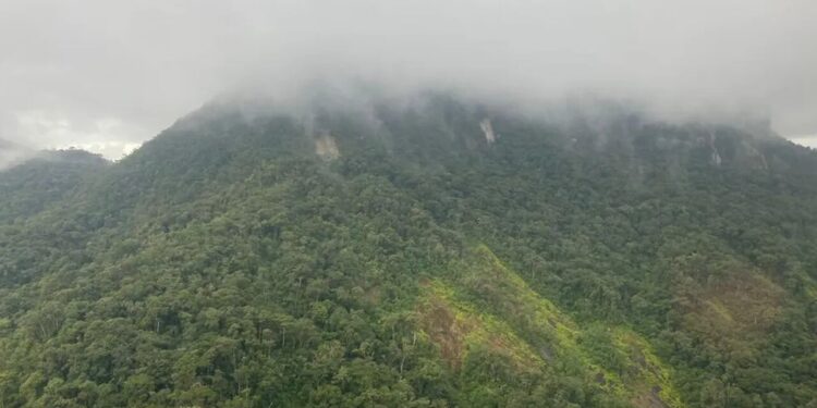 Avião que desapareceu entre SC e PR é encontrado