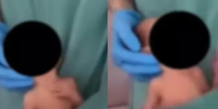 [Vídeo] Funcionária dança com recém-nascido no bolso em maternidade de SC