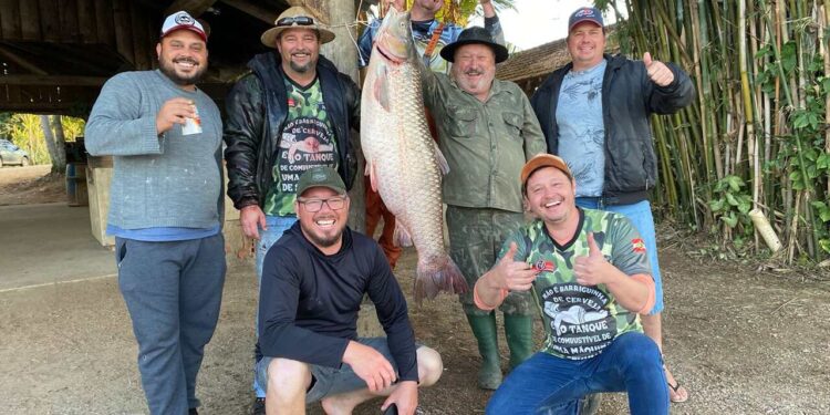[Vídeo] Pescadores pescam carpa-capim de 41 kg no Rio Itapocu