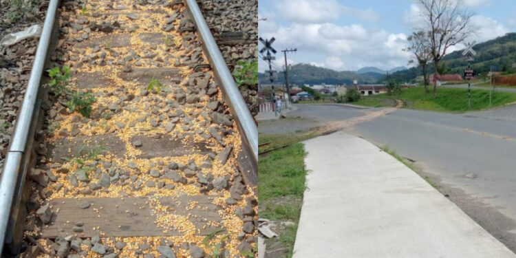 Rumo é notificada após queda de grãos na linha férrea em Guaramirim