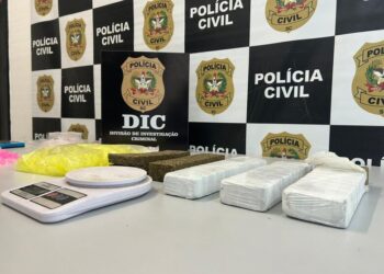 Operação contra tráfico de drogas e organização criminosa é executada em Joinville