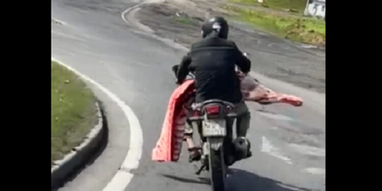 Motociclista é flagrado carregando carne saqueada na BR-470, em SC