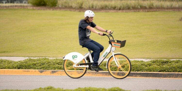 Dia Mundial sem Carro é comemorado nesta sexta-feira (22)