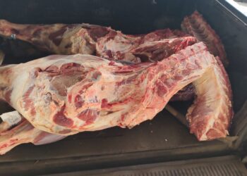 [Vídeo] Carga de carne é saqueada após caminhão tombar na BR-470, em SC