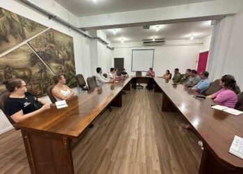 Para redução da criminalidade em Guaramirim, força-tarefa será lançada