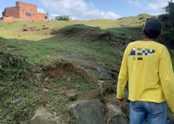 Homem é atacado por abelhas durante roçada em Jaraguá do Sul