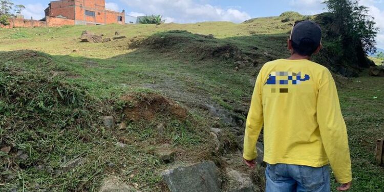 Homem é atacado por abelhas durante roçada em Jaraguá do Sul