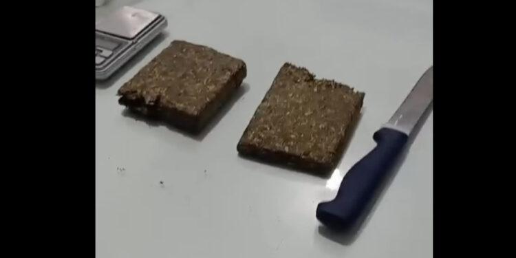 [Vídeo] Três pessoas são presas após droga ser encontrada em casa de Jaraguá do Sul