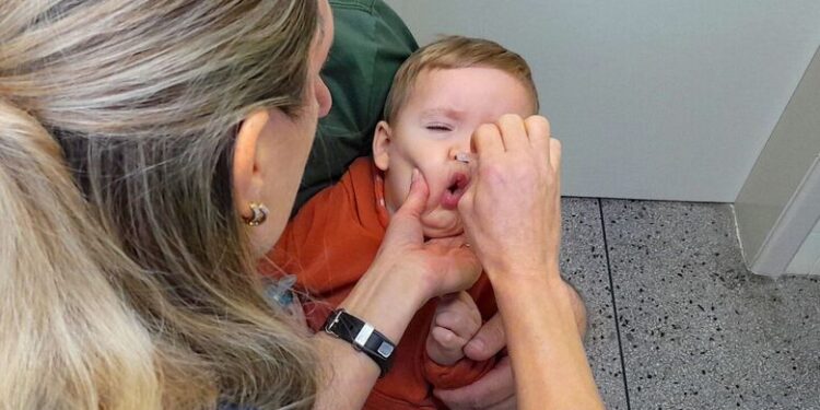 Dia D de Multivacinação: 1.613 cadernetas avaliadas e 800 doses aplicadas em Jaraguá