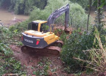 [Vídeo] Defesa Civil retira bambuzal que caiu no rio Jaraguá